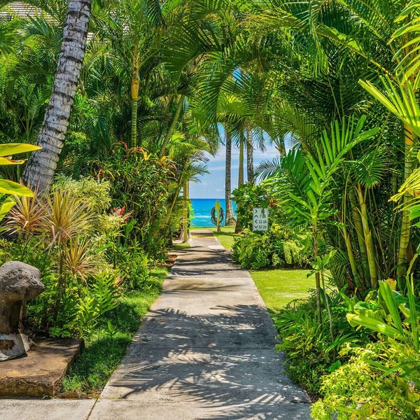 Kapaa Sands