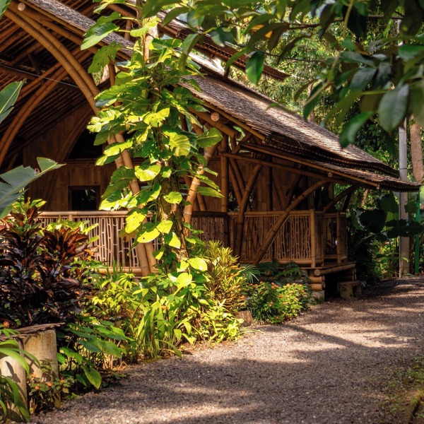 Kaura Bali