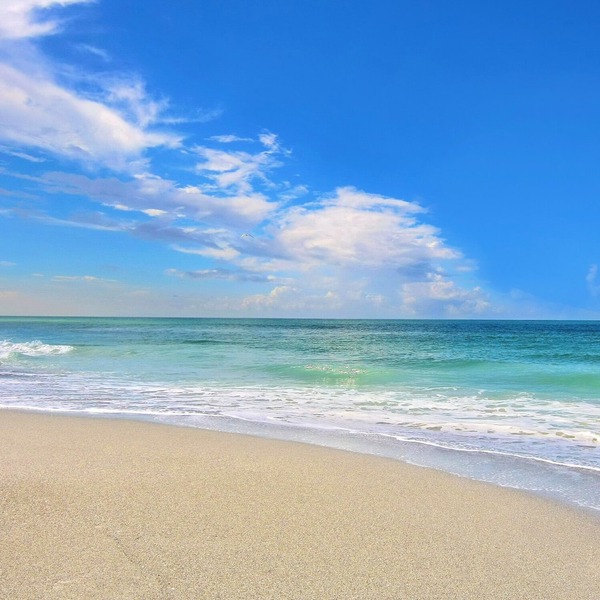 Key West style beach cottage JUST STEPS from #1 SIESTA KEY BEACH!