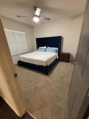 King Blue Oasis
