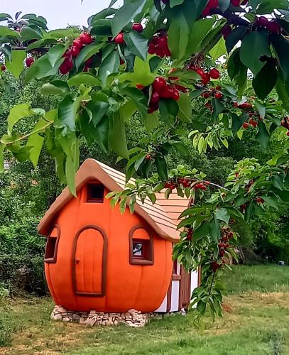 Krka Magic Pumpkin
