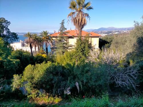 L'Essentiel à Nice