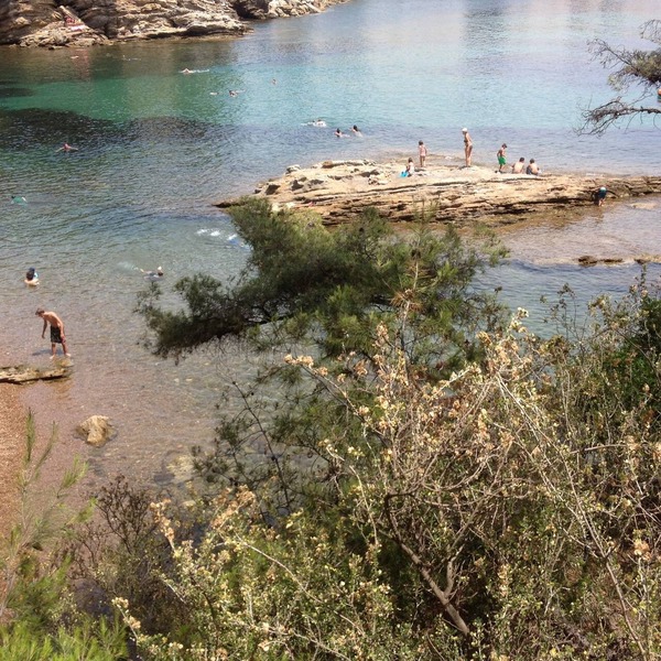 La Désirade Chambres d'hôtes en Provence