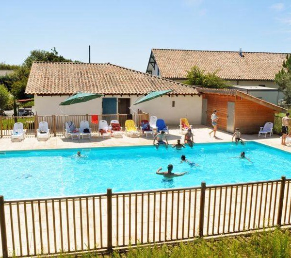 La palombe