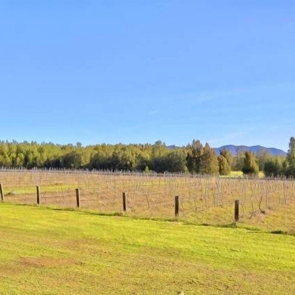 La Vigna Function and Wedding Accommodation the whole vineyard sleeps up to 40