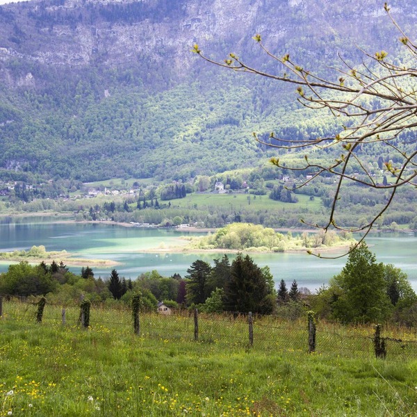 Lac Aiguebelette Soukavati 2 Pers vue Calme Breathtaking View Aiguebelette