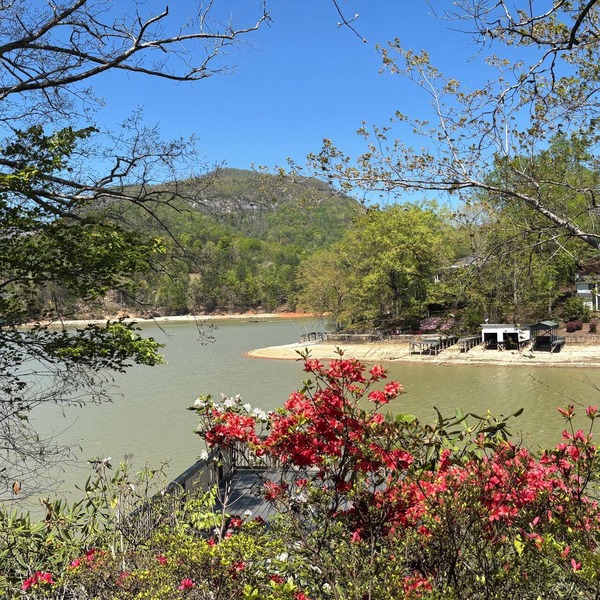 LAKEFRONT - Bring Some Love to Lake Lure