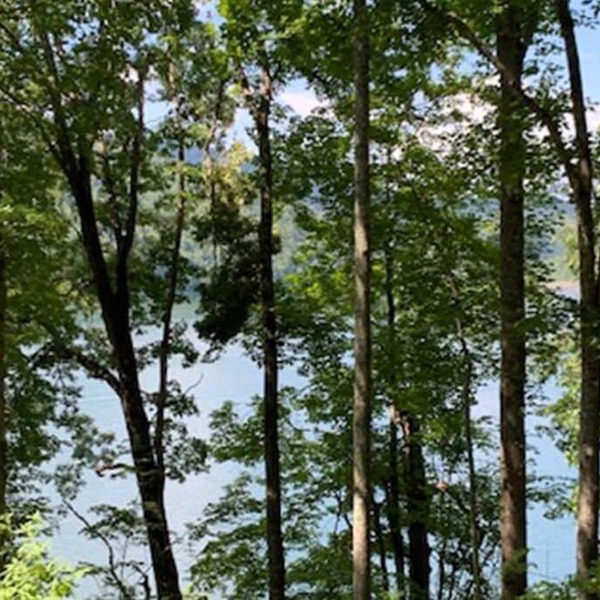 Lakeside Mountain Oasis
