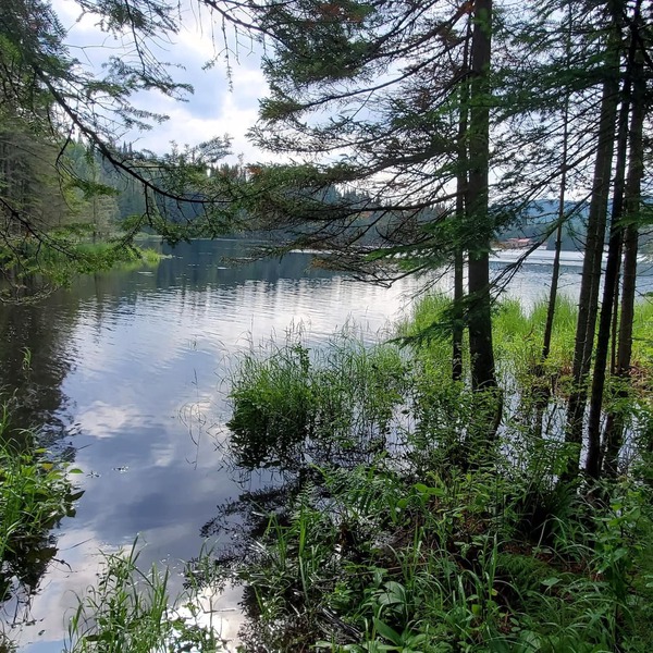 Lakeside privacy in the middle of nature in the heart of Laurentides