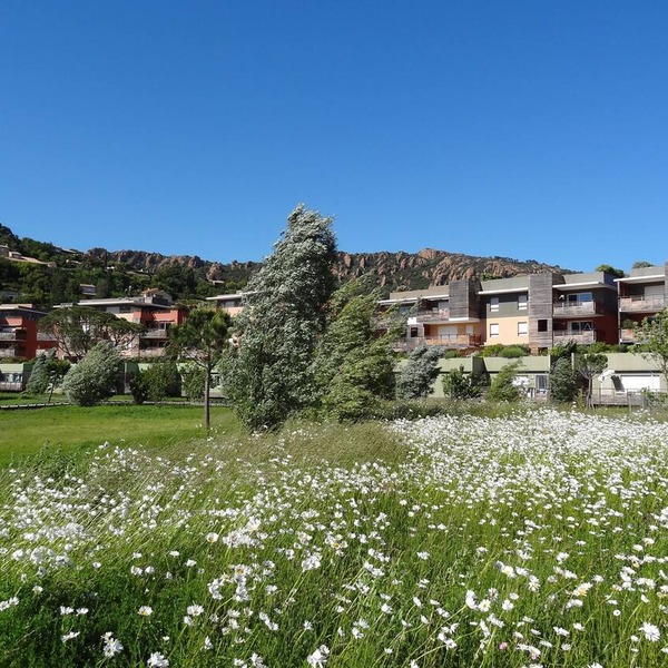 Large apartment for 6 people, swimming pool, park, beach 200m away