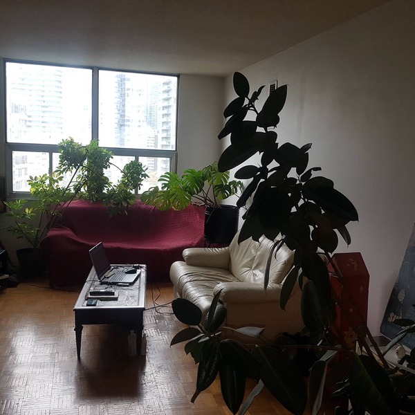 Large, bright apartment downtown near Maple Leaf Gardens. Pet-Friendly