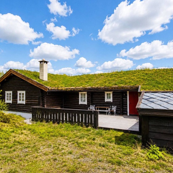 Large, cozy, and spacious cabin in Geilo