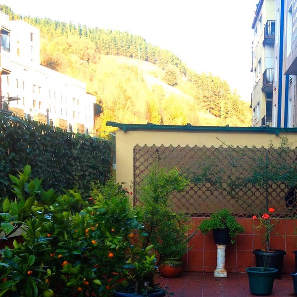 Large, cozy, quiet apartment and large terrace shared with owner