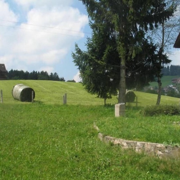 Large detached holiday home, family friendly, dream location, St Gallen, WiFi
