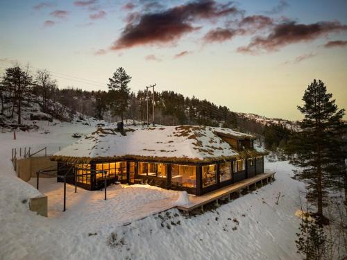Large modern cabin from 2023 for rent