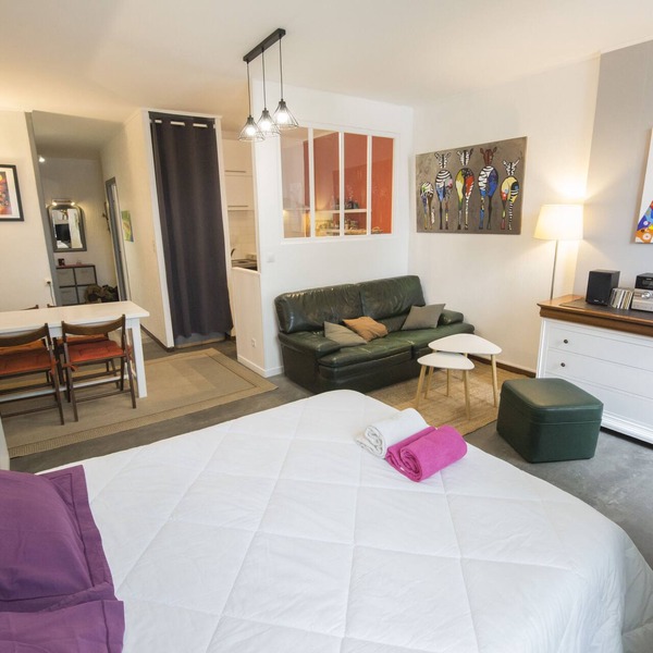 Large studio 36m2 facing south and bordering Place Marcadieu