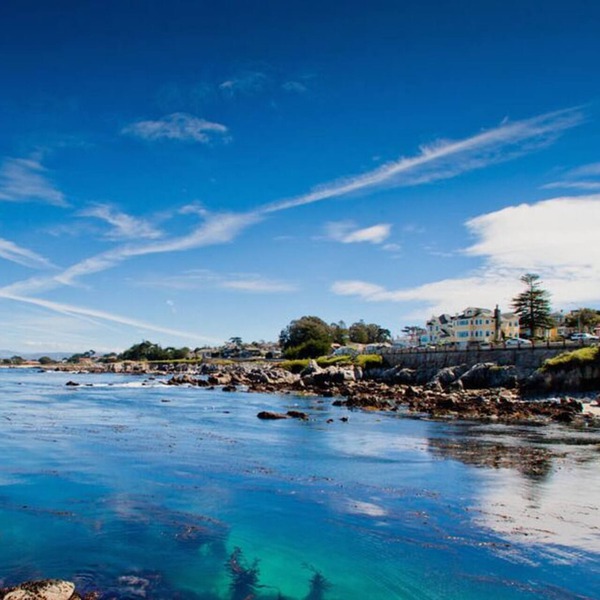 Latitude Adjustment - Pacific Grove Duplex - Ocean View, Walk to Town, Pet Friendly!