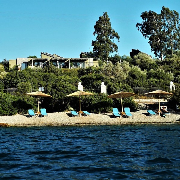 Lavender Cove
