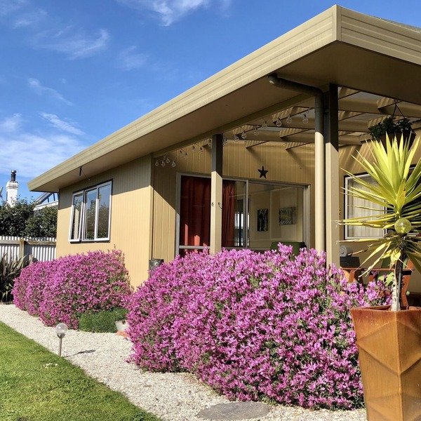Lavender Studio at the foot of the Richmond Hills.