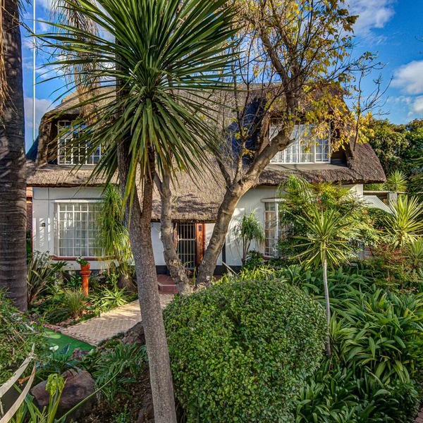 Lavender Villa - a little bit of nature in town