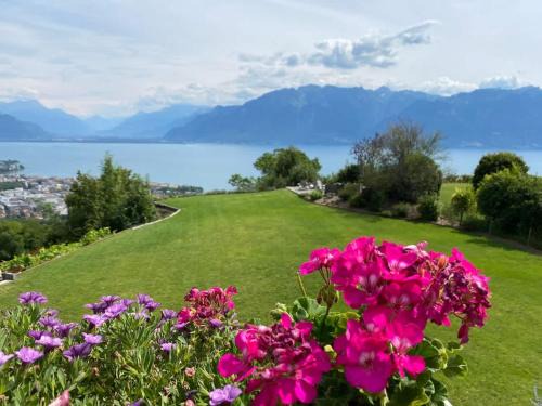 Le Chardonne - Designer's home with a stunning lake and mountain view