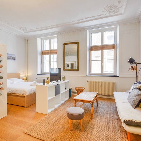 Le Cocon des Ponts - Studio 29 m² à Nancy