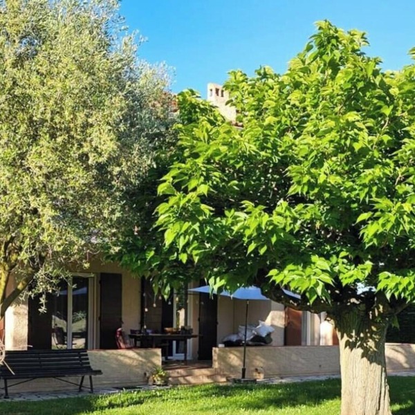 Le Petit Maraîcher: Terrace & Total Tranquility