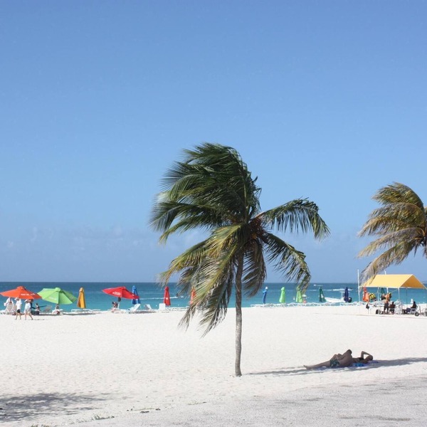Le Vent - SEABREEZE - BeachSide Resort Eagle Beach
