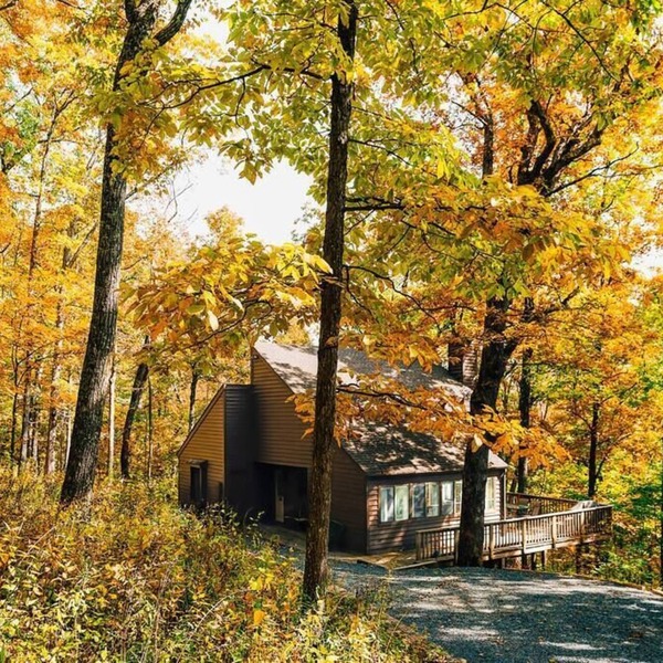 Leaf-Peeping at Oak Ledge! Trails+Tastings+Peace