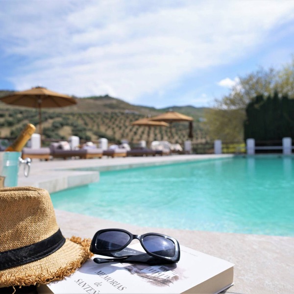 Lemon Tree Retreat at El Amparo