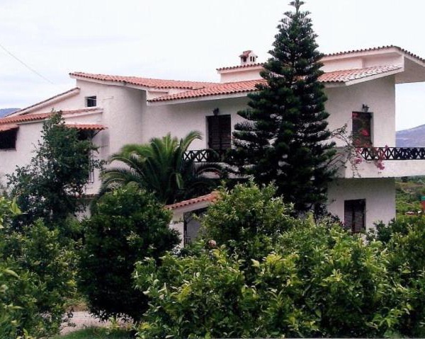 Lemon tree house
