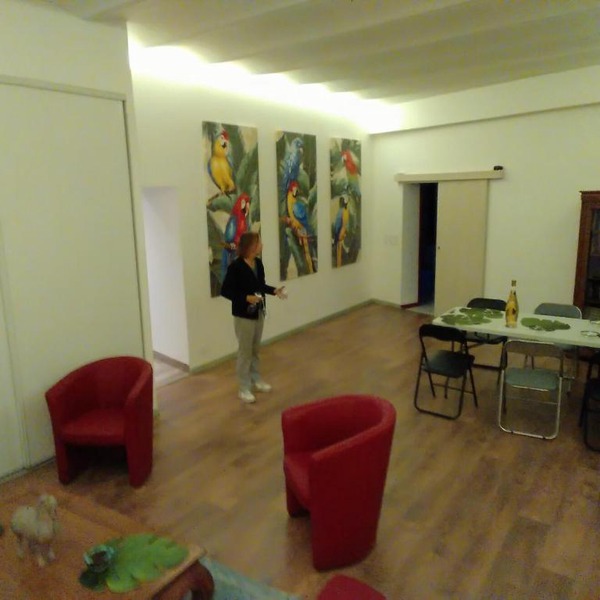 Les Perroquets