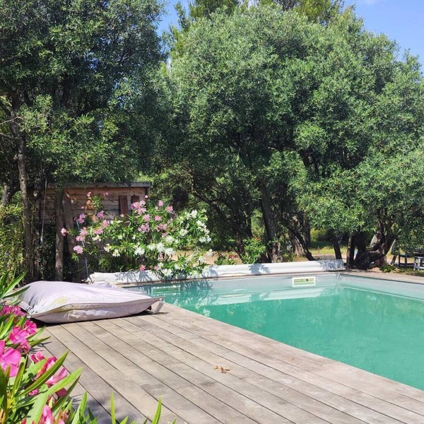 Les Restanques de Barbentane Une Expérience Inoubliable au Coeur de la Provence