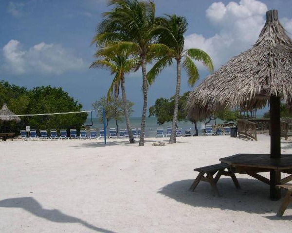 LICENSED MGR - MODERN OCEANFRONT - OCEAN VIEWS CONDO! BAR and BEACH RESORT!