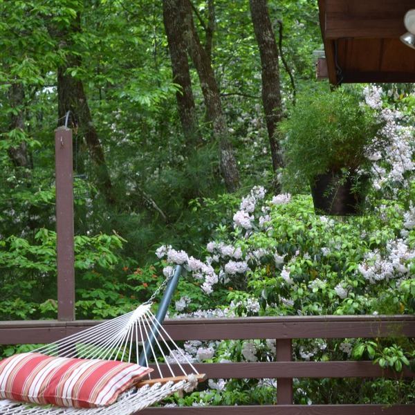 Lindal cedar home located next to Dupont State Recreational Forest.