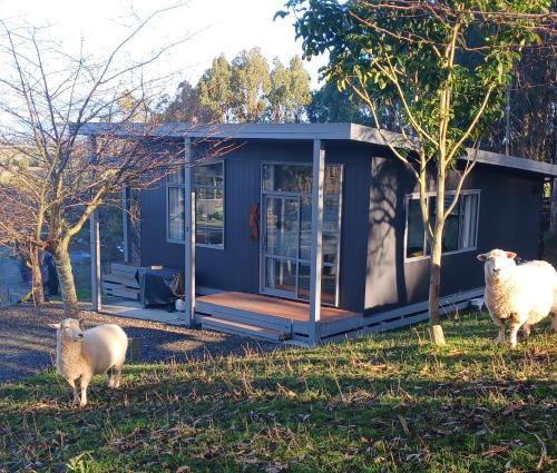Little Forest Cabins No 3