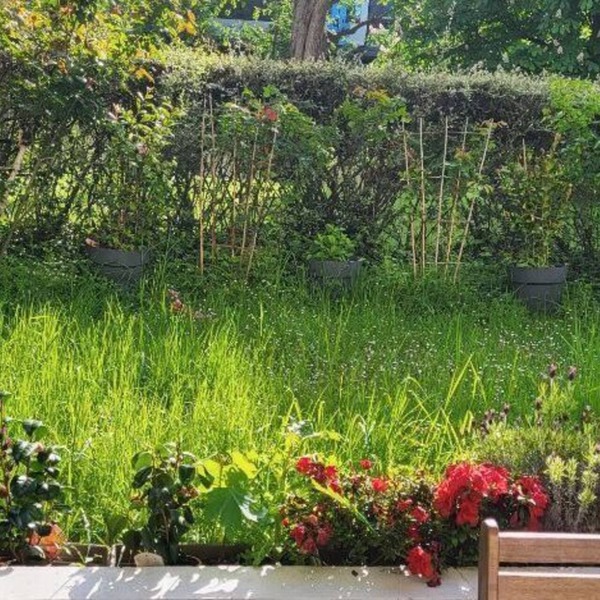 Location Courte Durée Pour les JO de Paris - Bel Appartement 4 a 6 Personnes