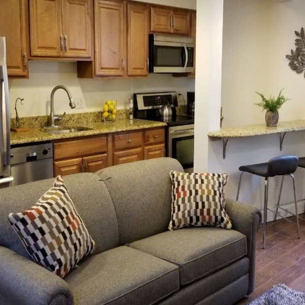 Location, Location! Downtown Luxury 1 Bedroom Apt