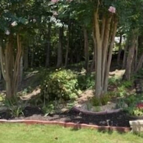 Looking for a good price in a great location? You found it!