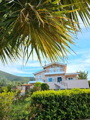 Loukissia Villa Mare