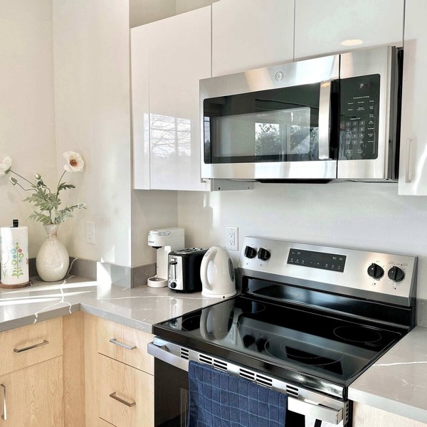 Luxurious Downtown Apartment in Seattle B03