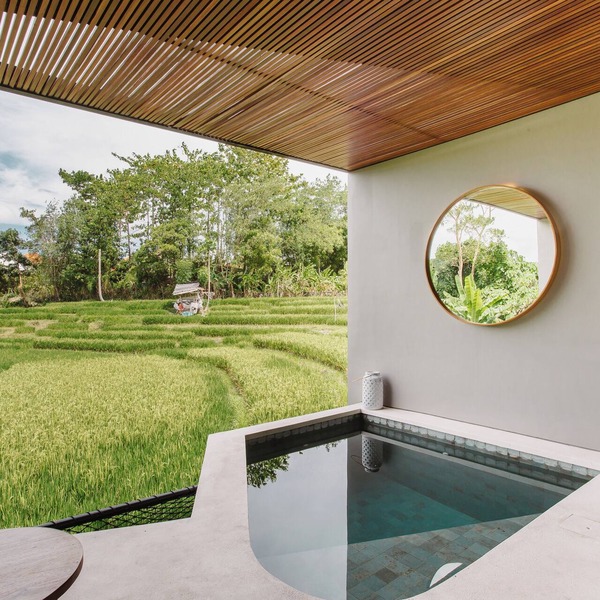 Luxurious & Serene Apt with Private Pool | Central