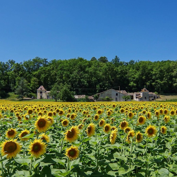 Luxury 1 bd gite. Rural & Peaceful. Eymet just 5 mins away. Fast Starlink WIFI.