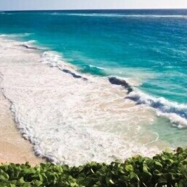 Luxury 2 BR at The Crane. Ocean View, Private Plunge Pool, Avail New Year's Eve