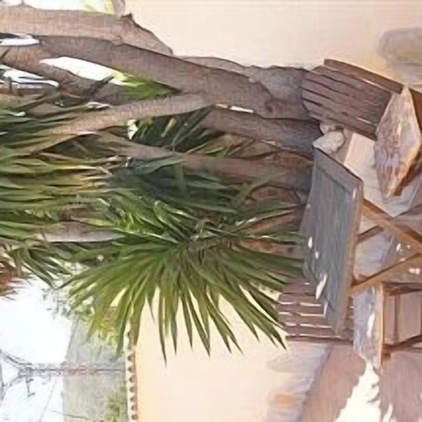 Luxury Accommodation Set In Beautiful Surroundings With Use Of Private Pool