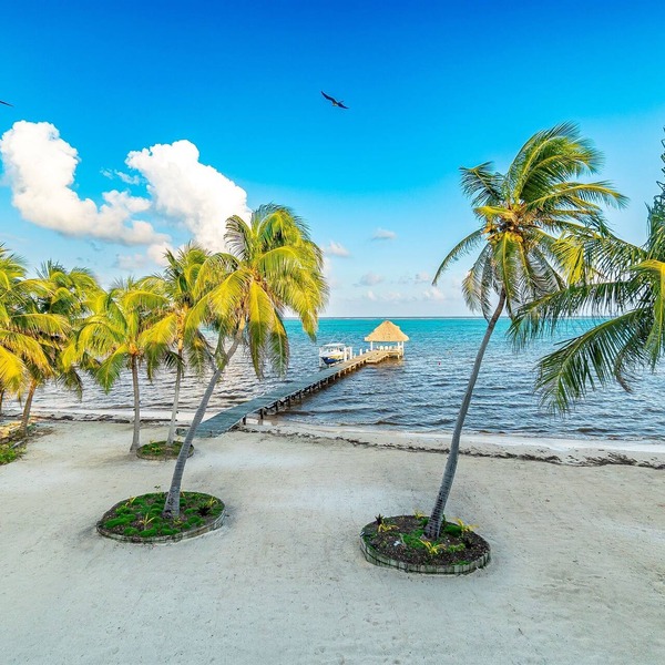 Luxury Beachfront Villa with Staff and Stunning Reef Views