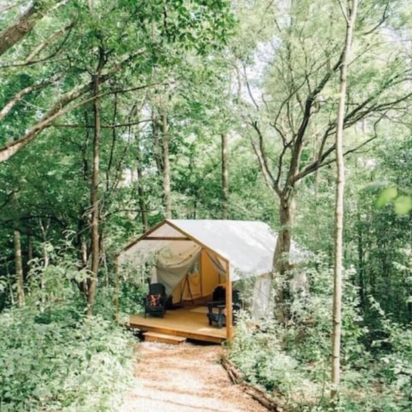 Luxury Glamping on Elora Flower Farm - Fox