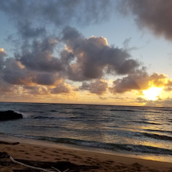 Luxury Ocean Front Property! Ocean& pool view. B204