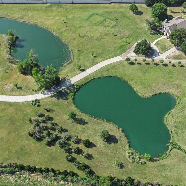 Luxury Private 5BR Estate 6.5 Acres, Private Pond, Sleeps 12, Dallas/MAJOR INTERNATIONAL SPORTING EVENT 2026