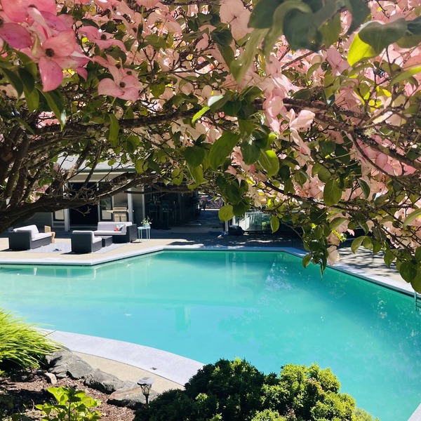 Magical Farm Villa with Heated Salt Water Pool